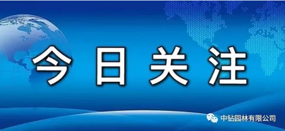 水利部安排部署水文工作